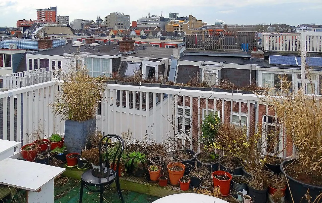 Spacious Apartment Pijp Amsterdam Netherlands